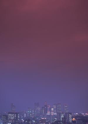 贅沢な中古マンションの購入なら