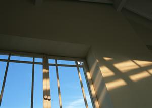 所沢は自然豊かな住みやすい街です